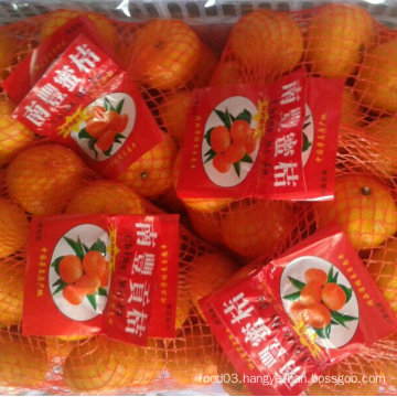 Good Quality of Fresh Sweet Baby Mandarin